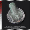 GLITTER REFLECTIVE/DISCO Crystal Peridot 1.5g #10