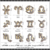CHARM Rhinestone Zodiac Signs Twelve Constellation Symbol 12/Wheel