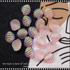 3D Aurora Shell Assorted Color & Size 12/Pk.