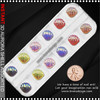 3D Aurora Shell Assorted Color & Size 12/Pk.