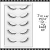 INSTANT EYELASH Cat Eye style, D-Curl,  Natural Looking Spike Lashes, 5 Pairs/Pack #K3