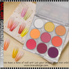 9 Colors Solid Powder Nail Art Gradient Pigment