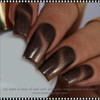 INSTANT Cat Eye Magnetic Brown 1g.