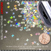 INSTANT GLITTER Silver Hologram Butterfly 0.25g. Pack