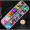 INSTANT GLITTER  Assorted Hologram Circle Case