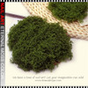 NAIL ART Eternal Moss Color 0.28oz/Bag | DARK GREEN
