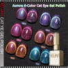 XEJAY Cat Eye Gel, Aurora #03 0.5oz.