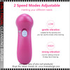 5-in-1 Electric Facial Cleansing Brush