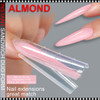 INSTANT ALMOND Sandwich Nail Duo Forms 256/Case