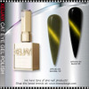 XEIJAYI Gel Polish Cat Eye Aurora Dual Beam #04