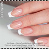 LAMOUR  Ellipse French Tips 5000/Pack