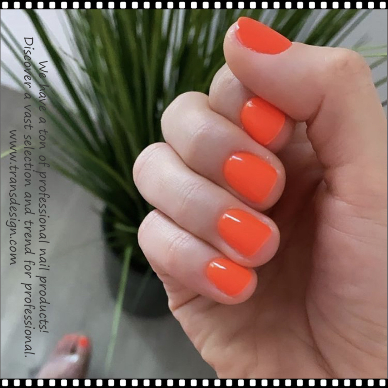 Glow in the Dark Pigment / Neon Orange – Daily Charme