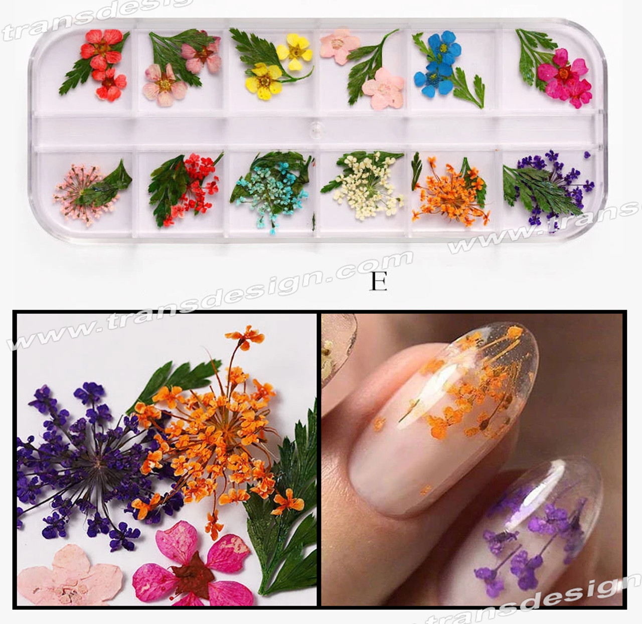Beetles 3D Flower Nail Charms,2 Boxes 3D Acrylic Flower Pearl Nail Art Rhinestones  Nail Gems with Glue For Nails Gel Polish Spring Summer Acrylic Nail  Supplies with Pearls Manicure DIY Nail Decoration 