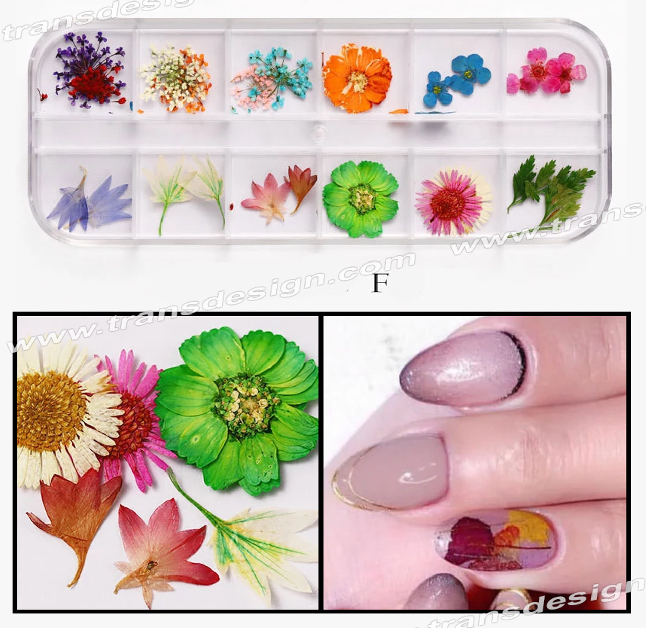 Dried Flowers Nail Decorations, Dried Flowers Nail Design