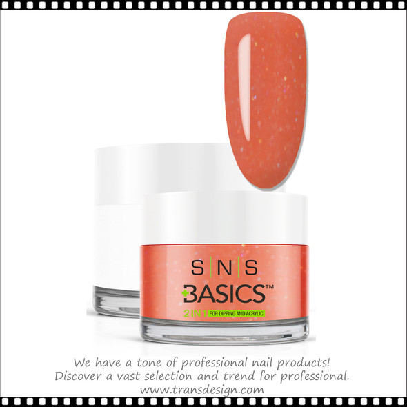 SNS Basics 2-in-1 Powder 1.5oz. B085