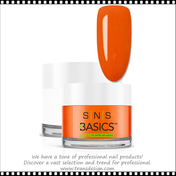 SNS Basics 2-in-1 Powder 1.5oz. B132