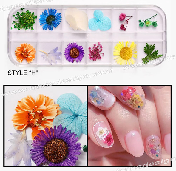 Nail Art Dried Flower Assorted Case #H