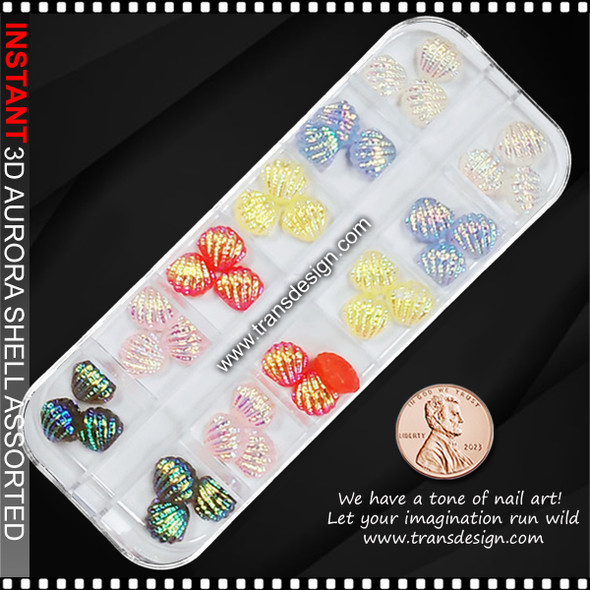 3D RESIN Aurora Shell Assorted Color & Size 36/Case