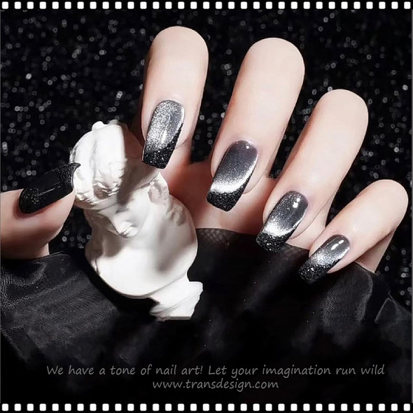 INSTANT Cat Eye Magnetic Silver 0.5g.