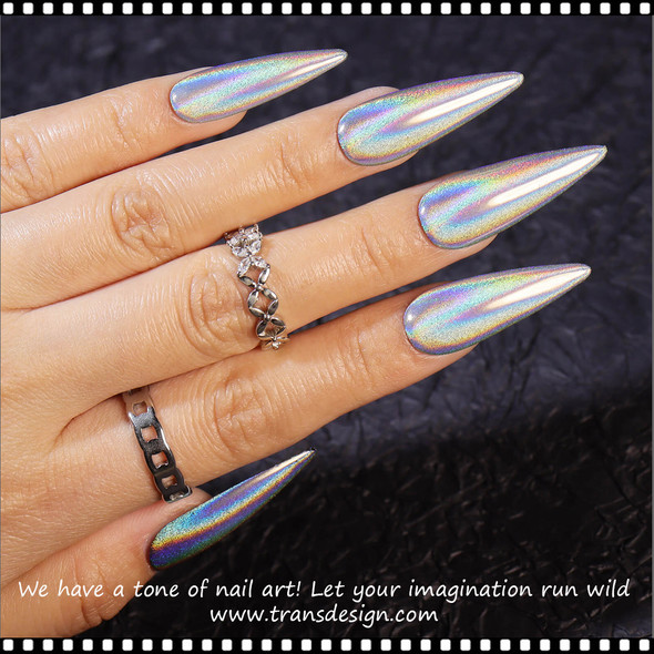 GLITTER HOLOGRAPHIC Silver, Fine 1g.