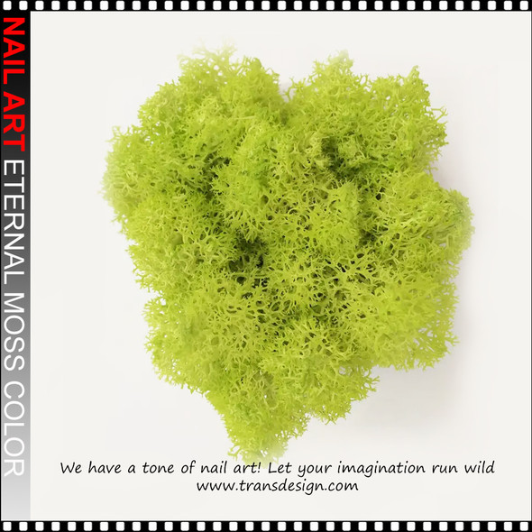 NAIL ART Eternal Moss Color 0.28oz/Bag | YELLOW/GREEN