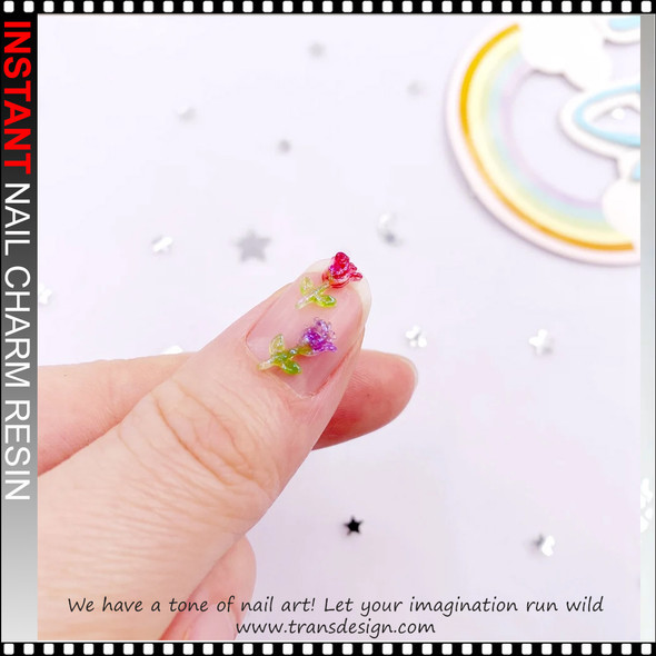 NAIL CHARM RESIN Rainbow Gradient Rose 50/Bag
