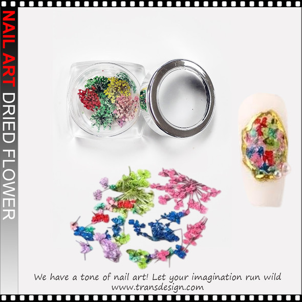 DRIED FLOWER 3D Decoration Colorful Red Blue 