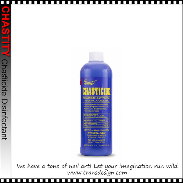 CHASTITY Chasticide Disinfectant 16oz. (12/Box)