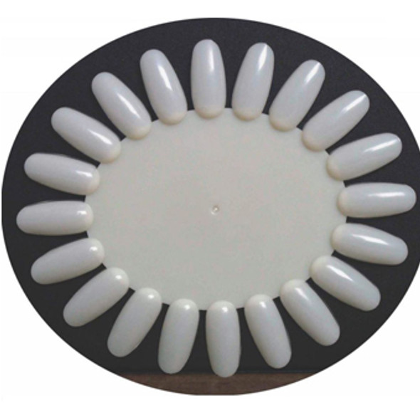 Display Wheel Oval Natural