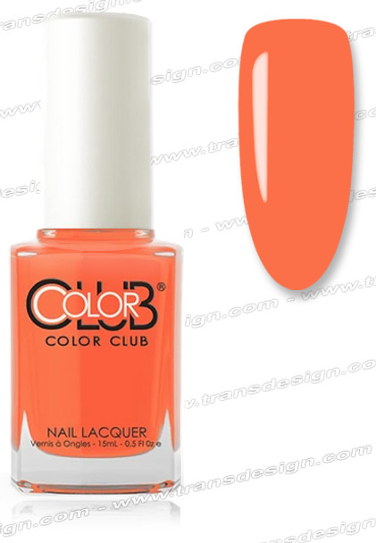 COLOR CLUB NAIL LACQUER In Theory*
