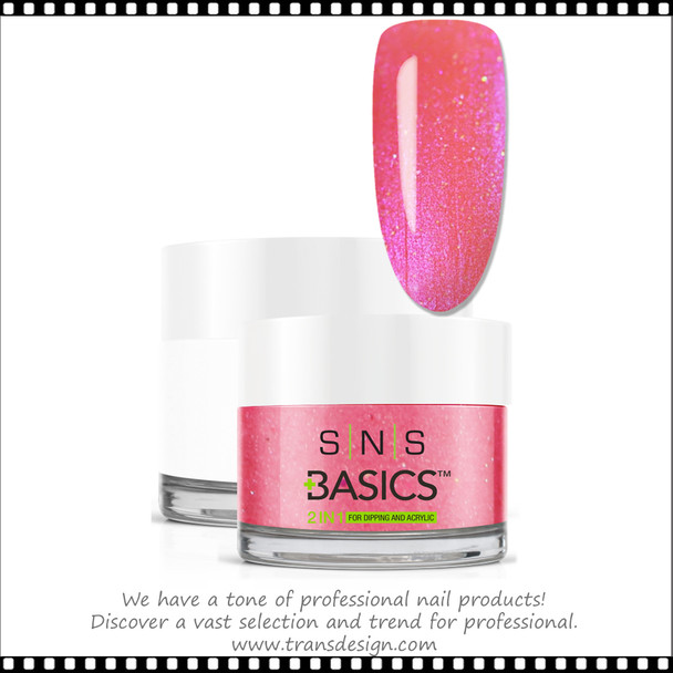 SNS Basics 2-in-1 Powder 1.5oz. B062