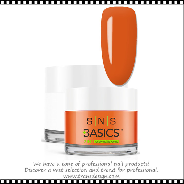 SNS Basics 2-in-1 Powder 1.5oz. B141