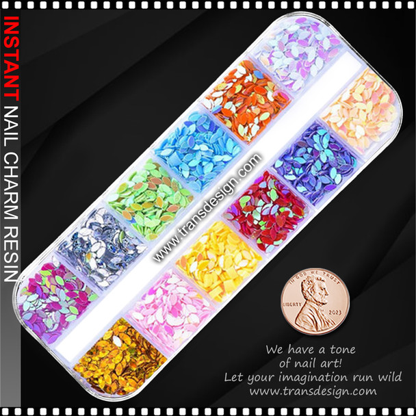NAIL CHARM RESIN 12 Rainbow Colors Horse-Eye Sequins 