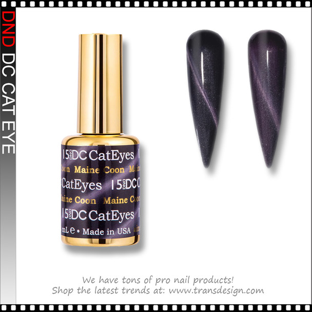 DC CAT EYES Maine Coon #15