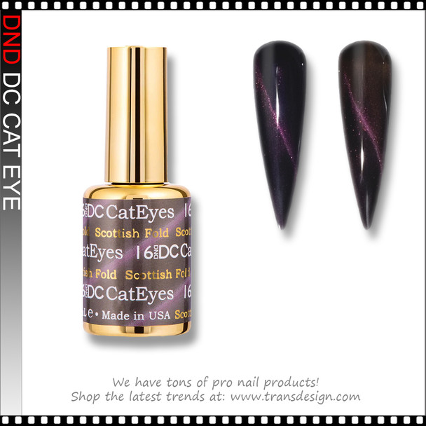 DC CAT EYES Scottish Fold #16