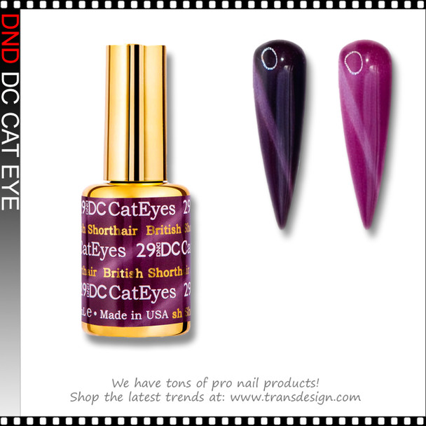 DC CAT EYES British Shorthair #29