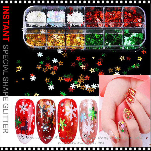 INSTANT GLITTER Assorted Star & Snowflake Case