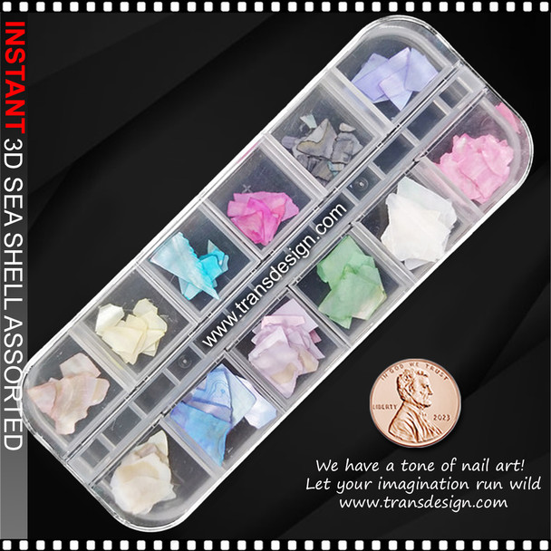 3D Sea Shell Assorted Color Pack