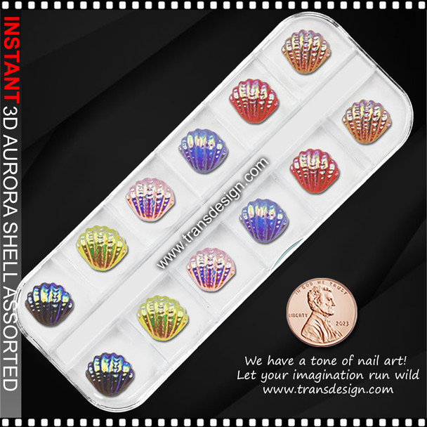 3D Aurora Shell Assorted Color & Size 12/Pk.