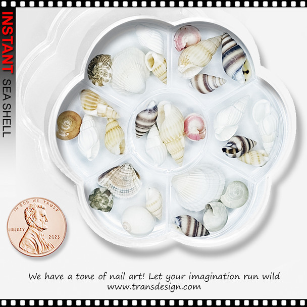 SEA SHELL Artisan-Crafted Sea Shell Beads 28/Wheel