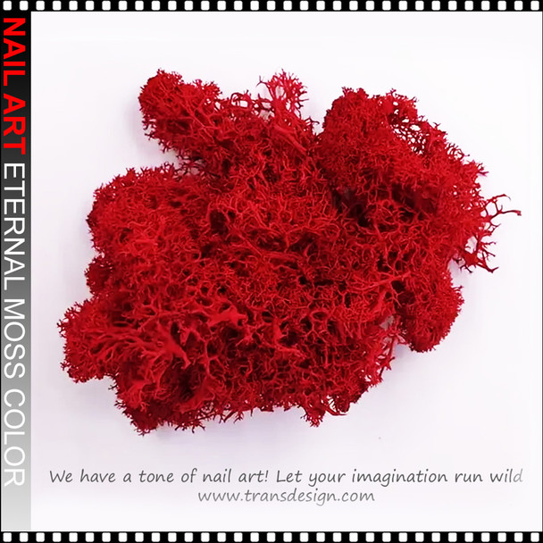 NAIL ART Eternal Moss Color 0.28oz/Bag | RED