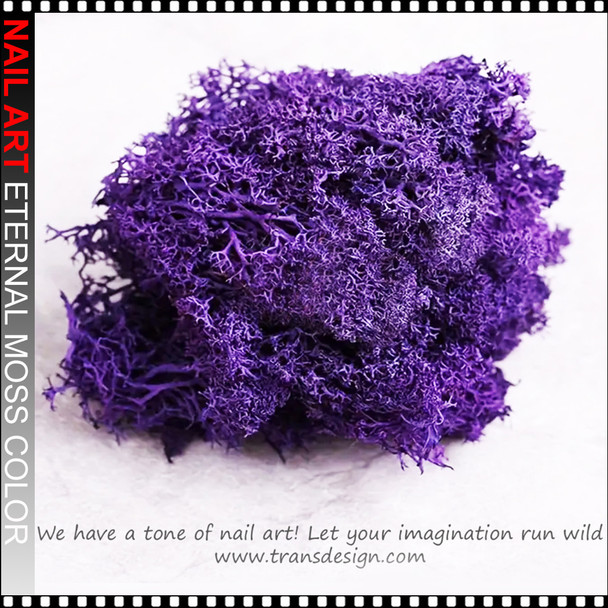 NAIL ART Eternal Moss Color 0.28oz/Bag | PURPLE