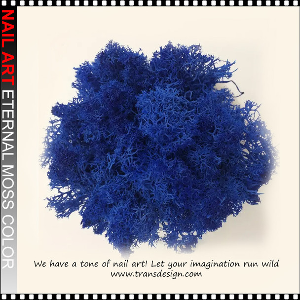 NAIL ART Eternal Moss Color 0.28oz/Bag | ROYAL BLUE
