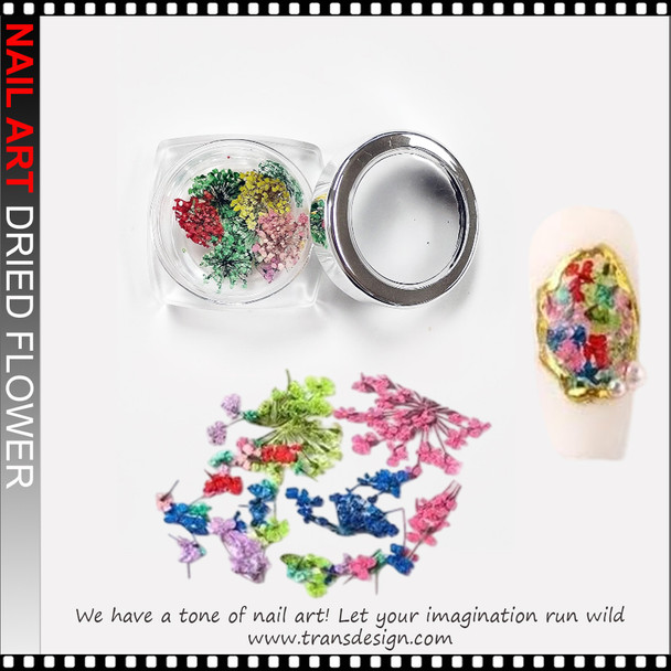 DRIED FLOWER 3D Decoration Colorful Red Blue 