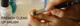 French Brushes