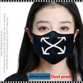 Reusable Face Mask "Arrows"