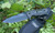 Camillus Micarta Handle Fixed Blade Knife