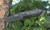 Camillus Micarta Handle Fixed Blade Knife