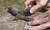 Camillus Tigersharp Folding Knife