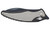Camillus Sizzle Folding Knife